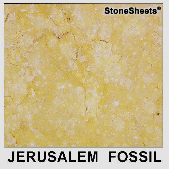Jerusalem Fossil